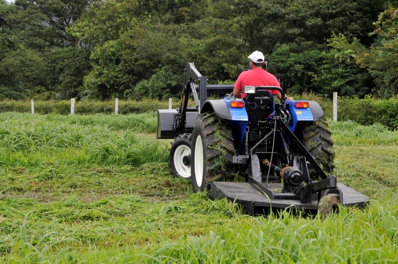 Understanding Bush Hogging: An Overview
