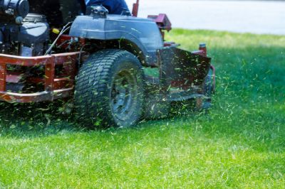 Bush Hogging Equipment Listings