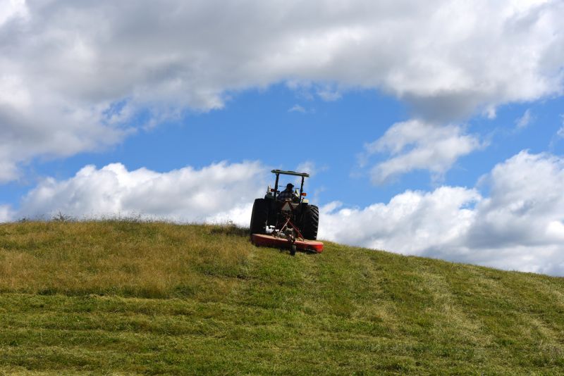 Bush Hogging Equipment & Services Deals