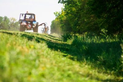 Cost of Bush Hogging — Cost of Bush Hogging