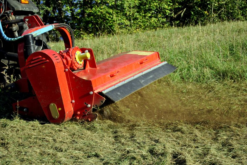 Cost of Bush Hogging — Cost of Bush Hogging