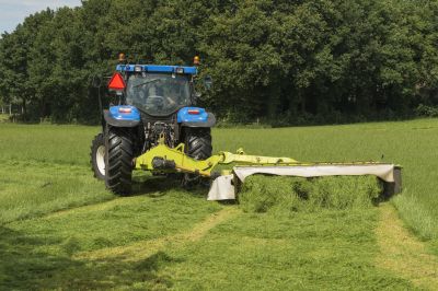 Cost of Bush Hogging — Cost of Bush Hogging