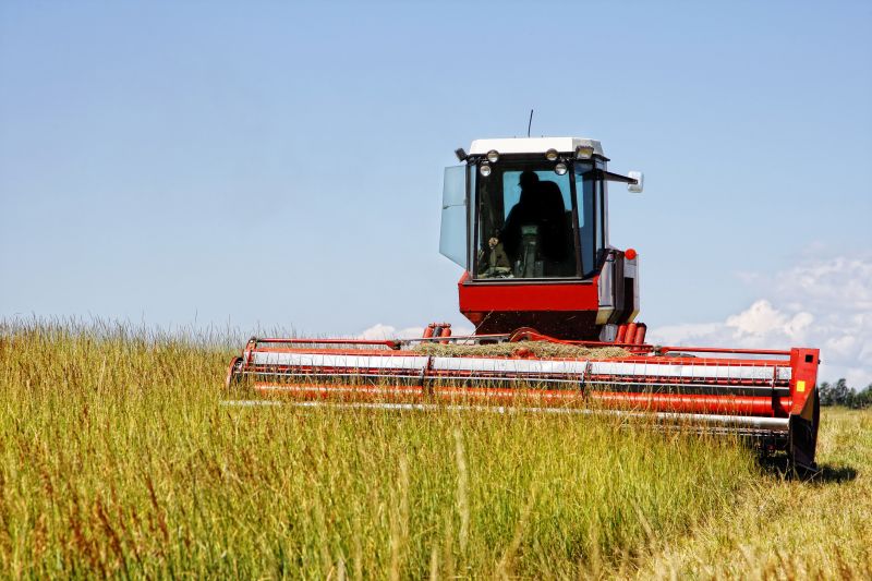 Land Clearing Efficiency
